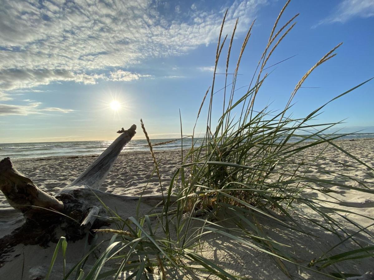 Fewo Unweit Warnemuende Sobierajczyk In Markgrafenheide 罗斯托克 外观 照片